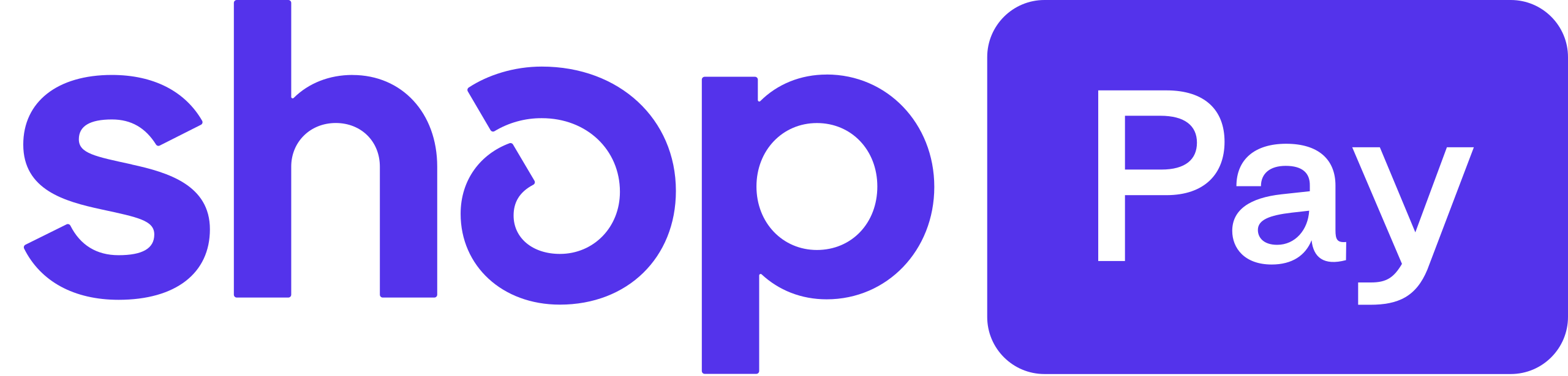 Shop Pay logo in purple text on a white background.